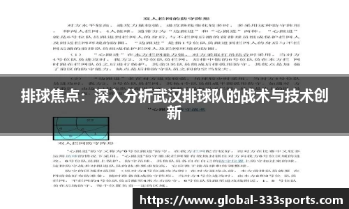 排球焦点：深入分析武汉排球队的战术与技术创新